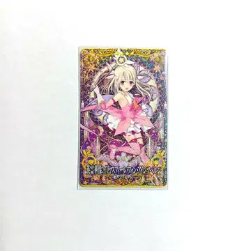 fgoac 이리야 영령화상