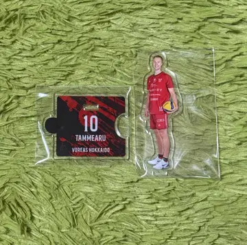 볼레아스 홋카이도 멜트 탄메아루 선수 아크릴 스탠드