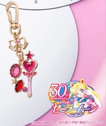 세일러문 30th 백참