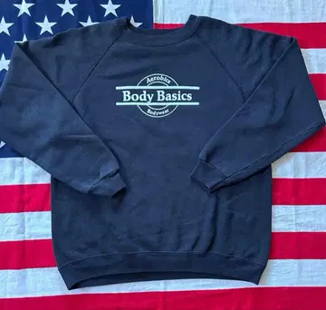 vintage 맨투맨 80s 헤인즈 블랙 래글런