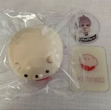 딸기곰 대만두 momo 스퀴즈 화과자 시리즈