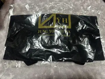 정용화 솔로 콘서트 토트백