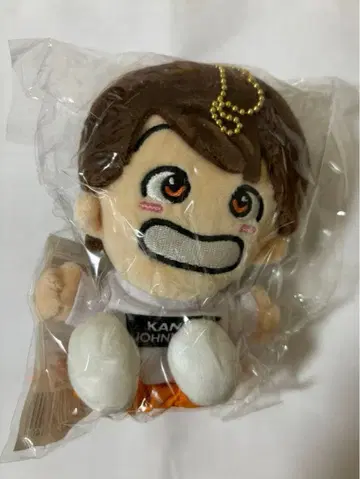 후쿠모토 타이세이 인형