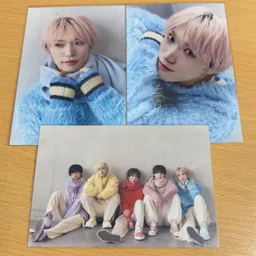 팬더드래곤 타이거 엽서 1