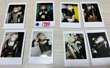 JILUKA Sena 폴라로이드 모음 13