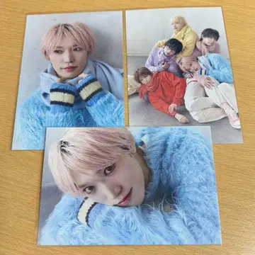 팬더드래곤 타이거 엽서 2