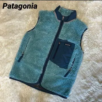 Patagonia 플리스 베스트 스카이블루