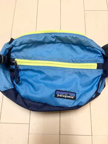파타고니아 힙 백