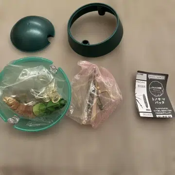 벼메뚜기 생물대도감