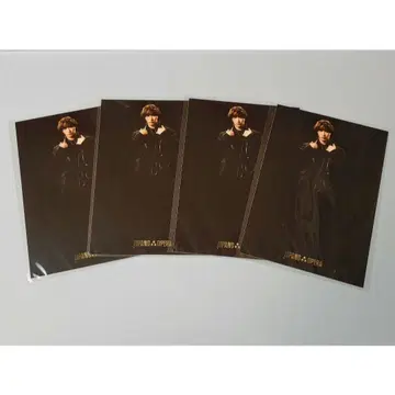 ZIPANG 오페라 후쿠자와 유 3