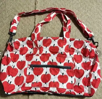 캐리온 백 보스턴 백 사과