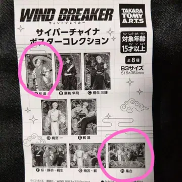 WIND BREAKER 사이버 차이나 포스터