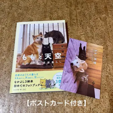 모모와 하늘의 따뜻한 고택 생활