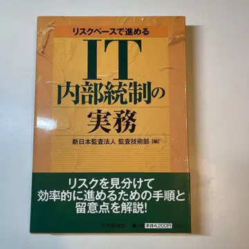 IT 내부 통제 실무 : 리스크 베이스로 진행
