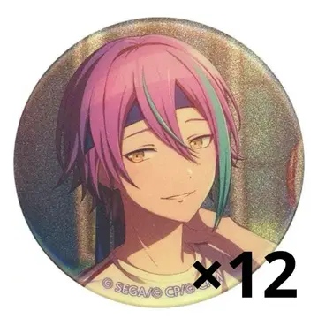 프로세카 캔뱃지 류 12점