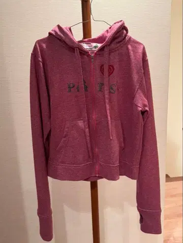 Dinoworks Paris hoodie lame