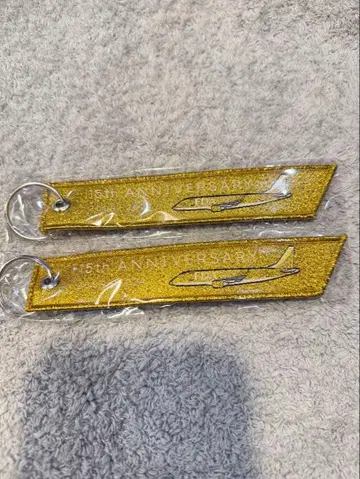 [ 한정판 ] FDA 15th ANNIVERSARY 플라이트 택