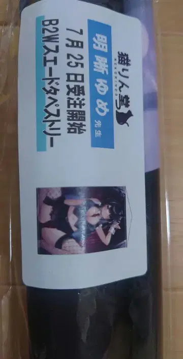 고양이 린도 명석한 꿈 B2 태피스트리