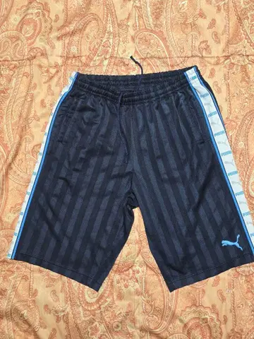 푸마 하프 팬츠 (XO 사이즈)