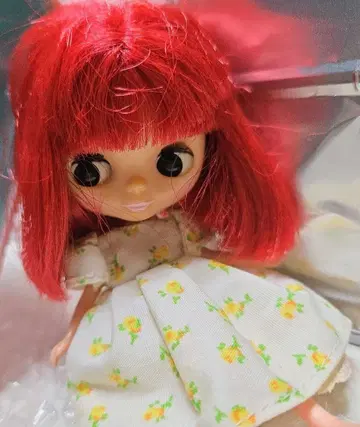 부치 브라이스 스퀴그리 스쿠아렐 케이스 포함.