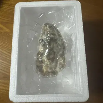 프라이즈 해역 다이토현 캡슐 케이스