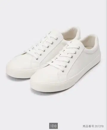 24cm 캔버스 스니커즈 (2024년 가을 아이템)