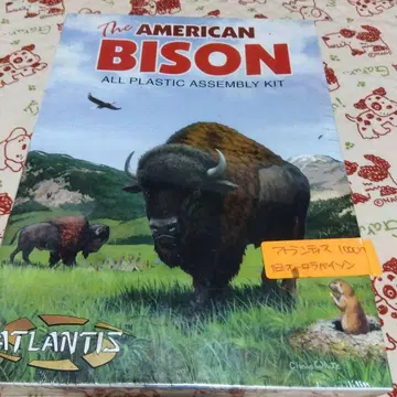 아메리칸 바이슨 프라모델