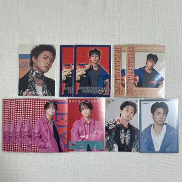 세구치 레야 트레이딩 카드 세트