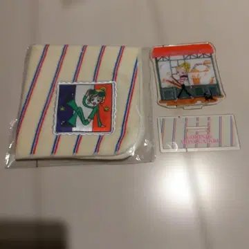 그녀의 플래티넘 걸 3COINS 콜라보 타월 손수건 아크릴 스탠드