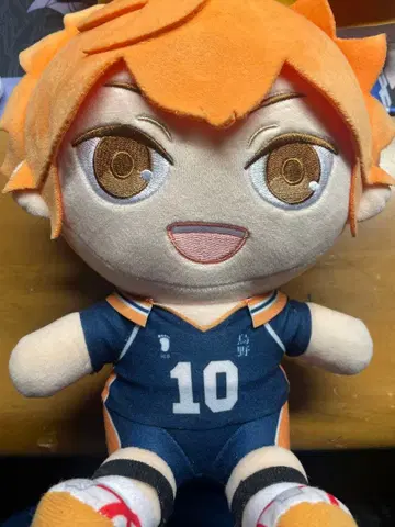 히나타 쇼요 봉제 인형 10번