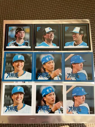 후시미 토라이 사진 칩 세트