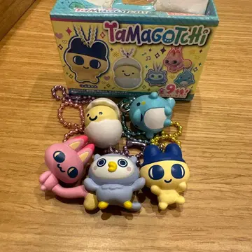 다마고치 초코 박스 5개 세트