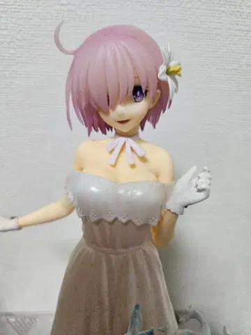 마슈 키리에라이트 묶음 판매