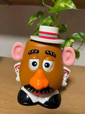 Mr. Potato Head 대걸레