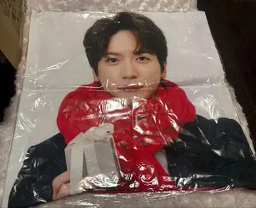 정용화 솔로 콘서트 쿠션 커버