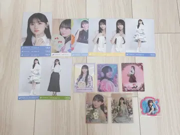 노기자카46 브로마이드 카와사키 벚꽃 묶음 판매