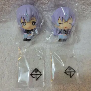 호시미치 쇼 니지코토 A B 세트