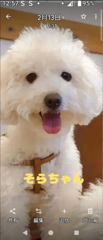 소라와 쿠우의 사진