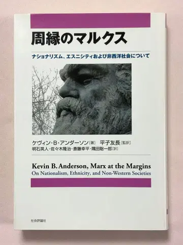 주변의 마르크스 케빈 B 앤더슨
