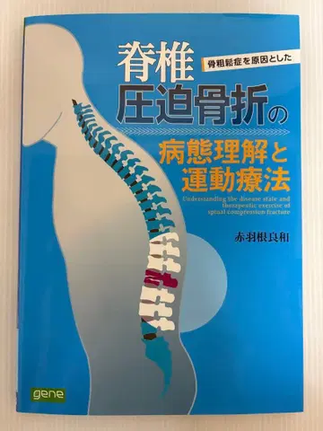 척추 압박 골절의 병태 이해와 운동 요법