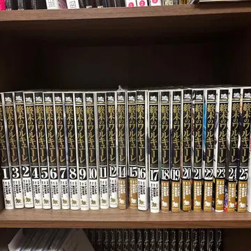 종말의 발키리 1~25권 전권 13권만 없음