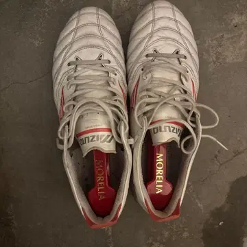 모렐리아 네오 4