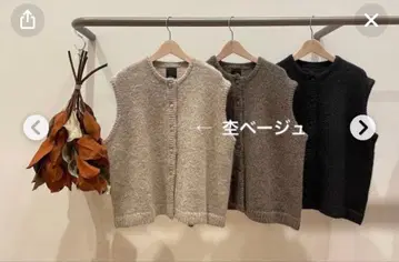 tandey 늑대와 올빼미 늑대와 회색곰의 에델