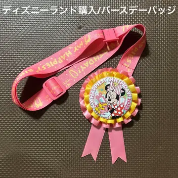 미니 벌스데이 배지 벌스데이 생일 배치 벌스데이 배지