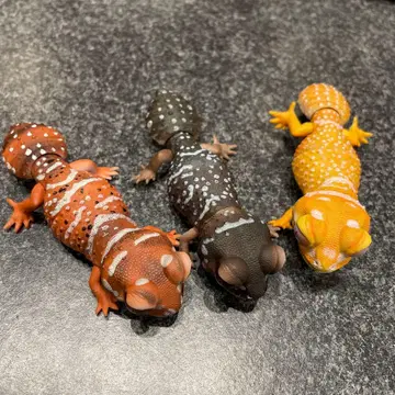 나메하다타마 도마뱀 가챠가챠 생물대도감 쁘띠