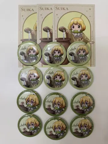 Dr.STONE 닥터스톤 로프트 캔뱃지 AB 특전 수박 12개