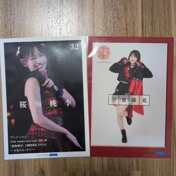 안쥬르므 사쿠라 우메 토리 고토 하나 핀포스