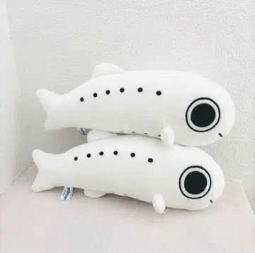 신에노시마 수족관 뱅어 봉제 인형 2마리 세트