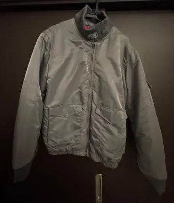 MA-1 플라이트 자켓 그레이 phenomenon