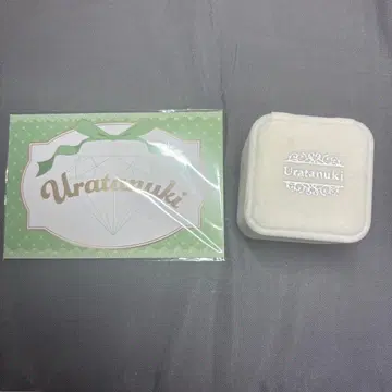 우라시마사카타센 우라타누키 weddiing 결혼 반지 팝업 카드